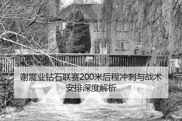 xie-zhen-ye-zuan-shi-lian-sai-mi-hou-cheng-chong-ci-yu-zhan-shu-an-pai-shen-du-jie-xi-3-925.jpg