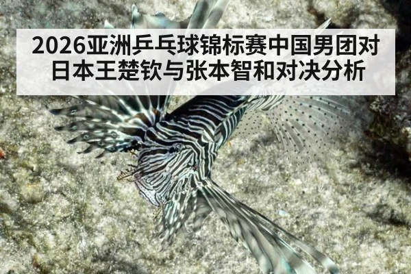 2026亚洲乒乓球锦标赛中国男团对日本王楚钦与张本智和对决分析